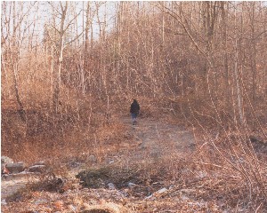 trip4.jpg